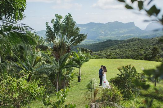 Beautiful wedding in the mountains of a tropical island