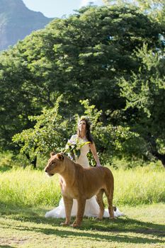 Beautiful bride and a lioness in the picturesque nature