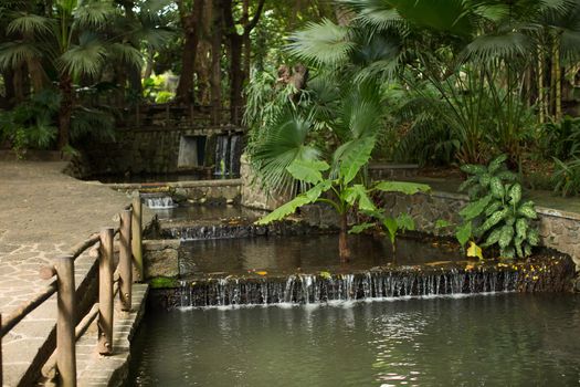 National Park with a waterfall, palm trees and a wooden fence. Mauritius. Casela