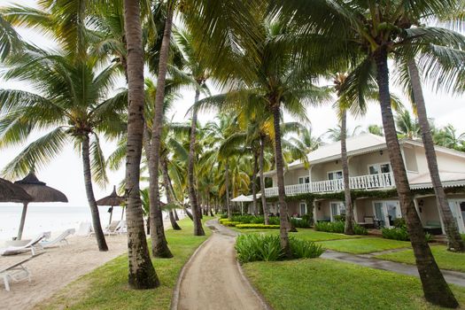 Luxury house in Mauritius, with a green lawn and palm trees.