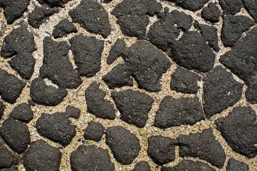 Wet black stone and sand as the backdrop.