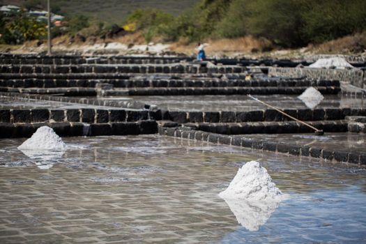 Fields of salt on the shores of the Indian ocean in Mauritius. The collection of salt.