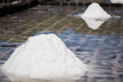 Fields of salt on the shores of the Indian ocean in Mauritius. The collection of salt.