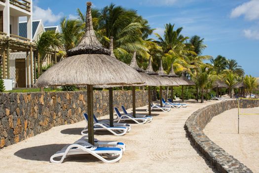 Deck chairs under umbrellas and palm trees on a tropical beach