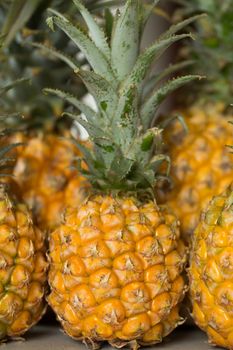 Lots of fresh ripe pineapples close up.