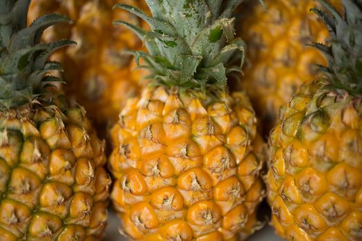 Lots of fresh ripe pineapples close up.