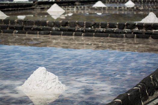 Fields of salt on the shores of the Indian ocean in Mauritius. The collection of salt.