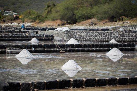 Fields of salt on the shores of the Indian ocean in Mauritius. The collection of salt.