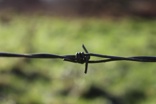 Close up of barbed wire in front of a blurred field background. High quality photo.