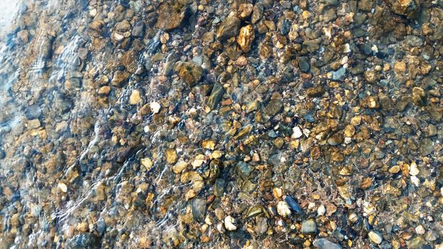 Top view on colorful pebbles covered by water. Close up view of smooth round pebble stones on the beach.