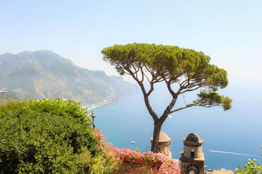 Italian tree in a botanical garden in Ravello, overlooking the scenic Amalfi landscape & coastline, Italy. High quality photo.
