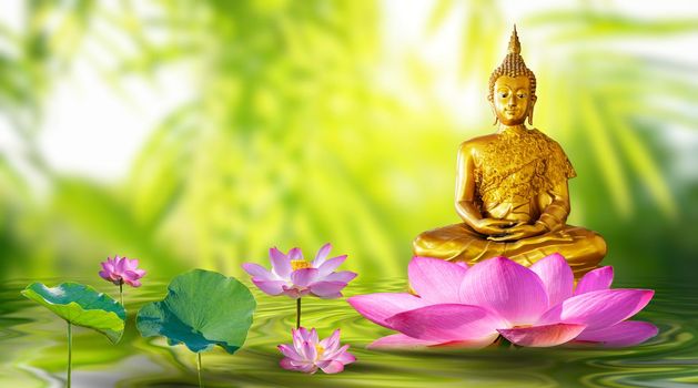 Buddha statue water lotus Buddha standing on lotus flower on orange background