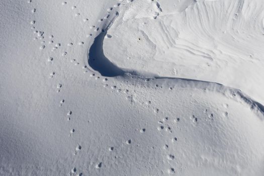 beautiful snow texture with shadows and footprints of wild animals. High quality photo