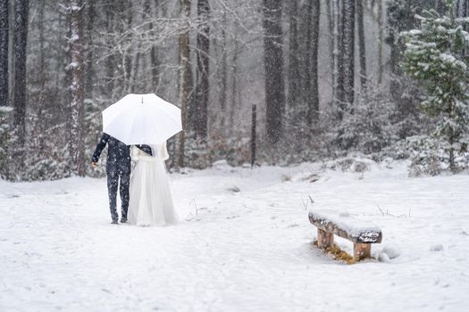 wedding couple in winter snowy forest, winter wedding.