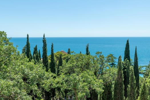 View of Miskhor Park and Black Sea, Crimea