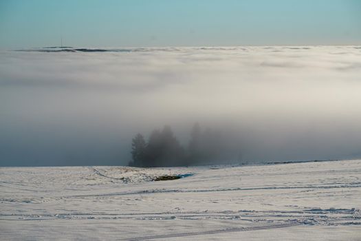 The concept of relaxing in the mountains in winter in the snow on skis, snowboards or sleds, walking under the setting sun at sunset on the Wasserkuppe mountain in Hesse Germany. High quality photo