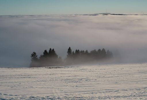 The concept of relaxing in the mountains in winter in the snow on skis, snowboards or sleds, walking under the setting sun at sunset on the Wasserkuppe mountain in Hesse Germany. High quality photo