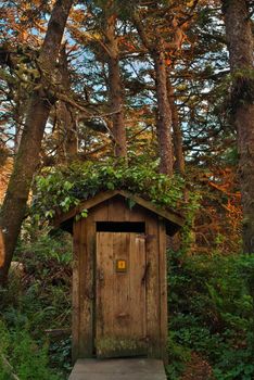 Wooden outhouse in a beautiful forest setting on Vancouver Island in Canada near Mount Washington. High quality photo