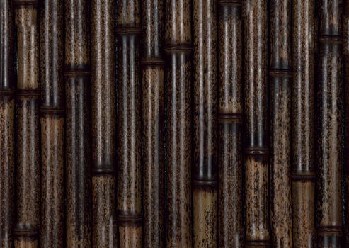 Black bamboo is positioned vertically in close-up
