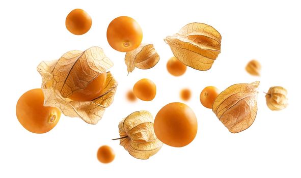 Physalis berries levitate on a white background.