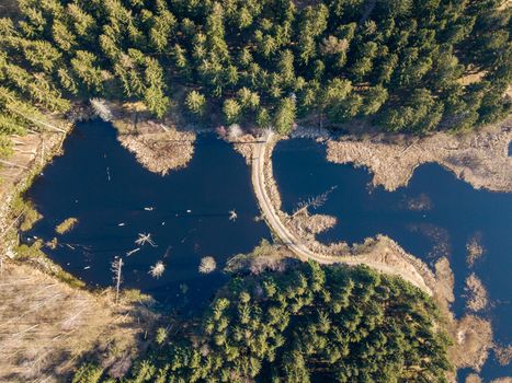 Top down drone view of trees and a small lake in Hareskoven Forest north of Copenhagen.