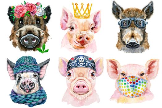 Watercolor illustration of pigs in wreath of peonies, winter hat, medical protective mask, glasses, bandana and golden crown
