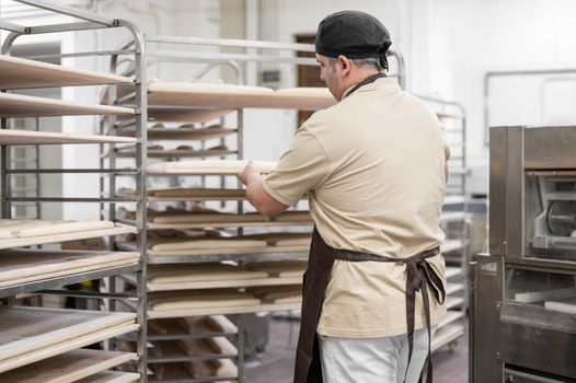 Baker placing tray with formed raw dough on rack trolley ready to bake in the oven. High quality photo