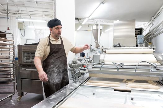Baker working at industrial bakery preparing trays with fresh loaf. High quality photo