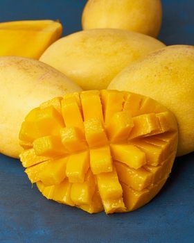 Four whole mango fruits on dark blue table and cut into slices. Large juicy bright ripe yellow fruits on color background, close up,