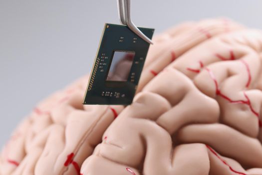 Close-up of person use tweezer tool to put tiny computer chip detail in human brain model. Microprocessor in head. Modern technology, digital world concept
