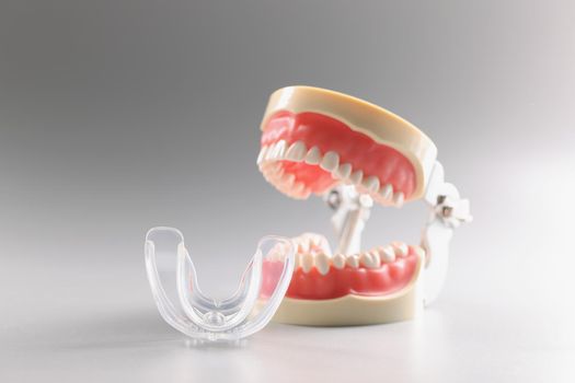 Close-up of human tooth model, teeth orthodontic dental model or human jaw, mouthpiece. Equipment for correcting bite. Dentistry, stomatology, care concept