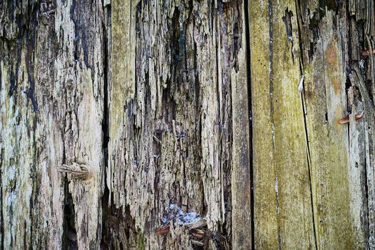 Old wood texture for web background, Rotten, decrepit, rotten wooden scratch backdrop.