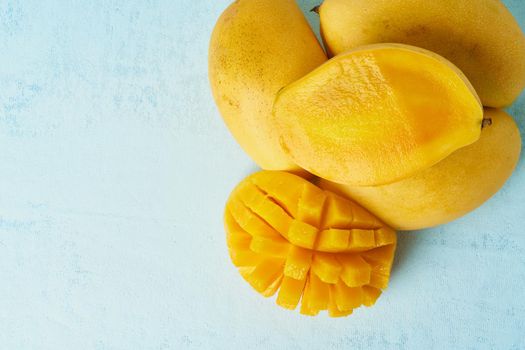 Four whole mango fruits on bright blue table and cut into slices. Large juicy bright ripe yellow fruits on color background, close up, copy space
