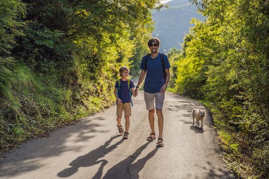 father and his son walking in a national park.