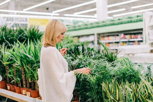 Gardening, planting and shopping concept. Beautiful mature adult woman choosing houseplants and pots in greenhouse or garden centre. Senior buying flowers plants at market store in mall.