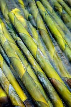 Texture of bamboo shoot  boiling in hot water, vegetable background