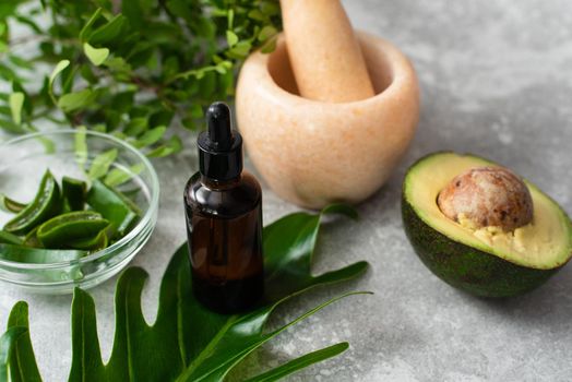 Face serum next to aloe vera, walnut, avocado and palm leaf. Professional skin care, natural cosmetics concept.