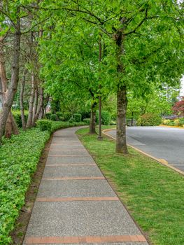 Paved pathway in a park through residential area in Vancouver, Canada.