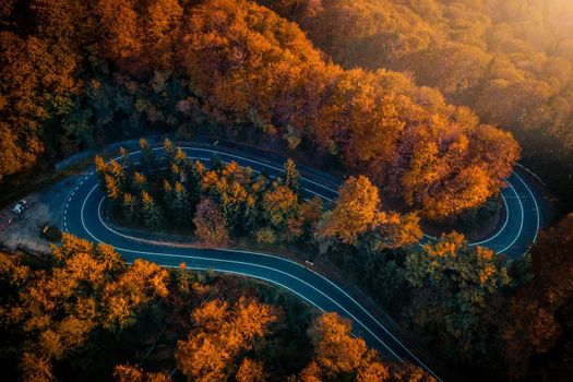 Transfagarasan serpentine going through autumn forest
