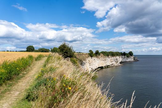 Hojerup, Denmark - July 21, 2020: View of the coastline at Stevns Klint cliff