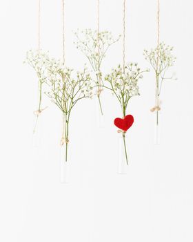 White flowers in glass mini vases hanging on white background. Red heart is symbol of love. Concept of Valentine's Day, wedding celebration. Copy space, vertical