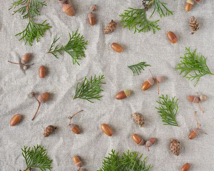 Autumn background pattern of evergreen trees, cones and acorns on gray linen textile. Empty space for text with natural elements.