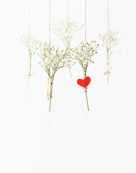 White flowers in glass mini vases hanging on white background. Red heart is symbol of love. Concept of Valentine's Day, wedding celebration. Copy space, vertical