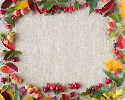 Autumn background of berries, small wild apples, acorns and leaves gray linen textile background. Empty space for text with natural elements