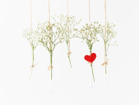 White flowers in glass mini vases hanging on white background. Red heart is symbol of love. Concept of Valentine's Day, wedding celebration. Copy space