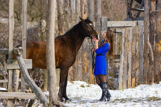 A beautiful girl in a blue dress stands with a horse against the background of an old wooden fence a