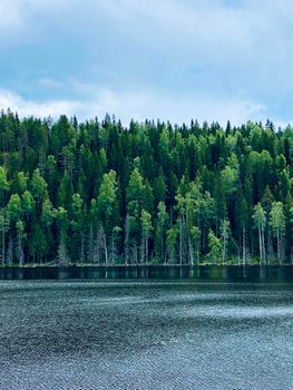 View of wild woods and idyllic lake in calm. North nature, taiga. Priozersk region Korela Russia
