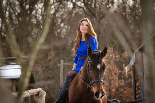 A girl in a blue dress sits on a horse against the backdrop of a winter forest a
