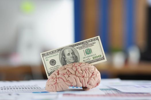 Close-up of banknote put in anatomical model of human brain, mess of business papers on desk. Make money with your intellect. Earn money, use brain concept