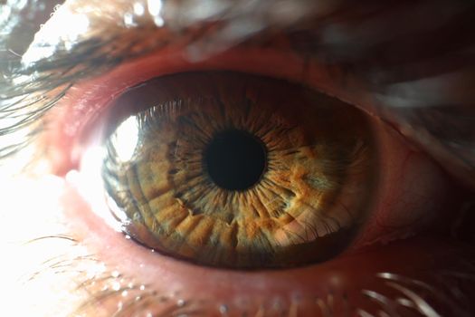 Close-up of beautiful person eye with fluffy eyelashes, macro shot of human eye looking on camera. Ophthalmology, oculist, beauty, optic, vision concept